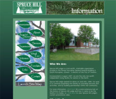 Web Design: Spruce Hill Lodge